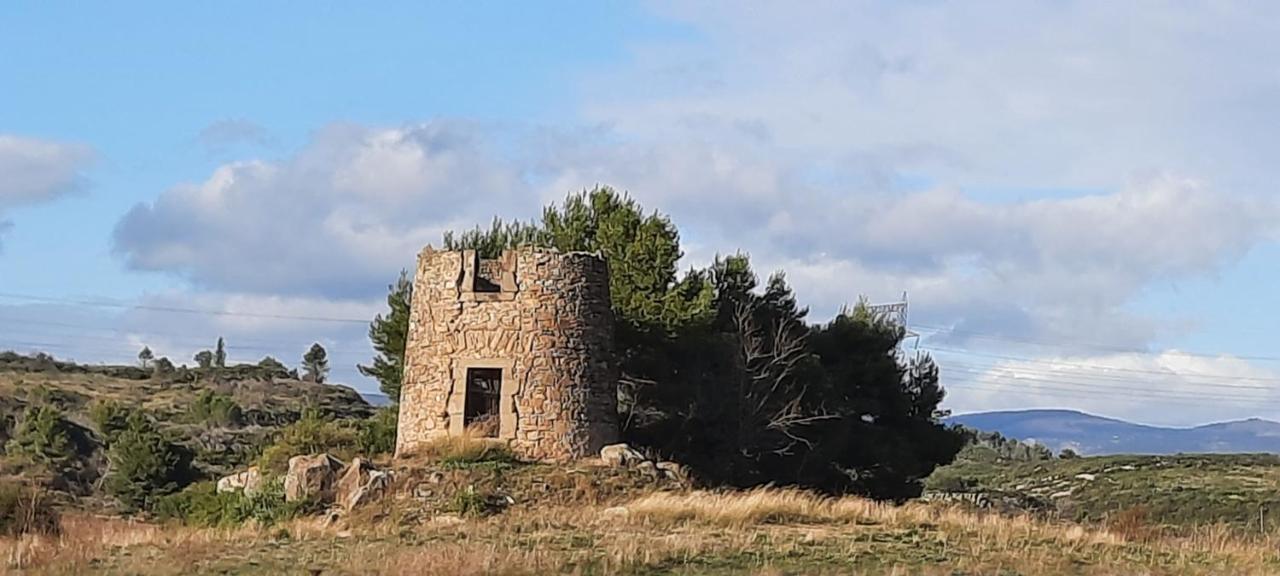 Le Coq Du Nord - Et D'hotes Mailhac
